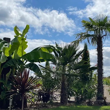 La Cle Des Champs - Piscinespa-sauna Au Jardin Tropical Idyllique Et Bucolique