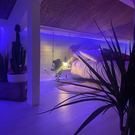 La Cle Des Champs - Piscinespa-sauna Au Jardin Tropical Idyllique Et Bucolique Apartment *
