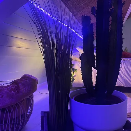 La Cle Des Champs - Piscinespa-sauna Au Jardin Tropical Idyllique Et Bucolique *